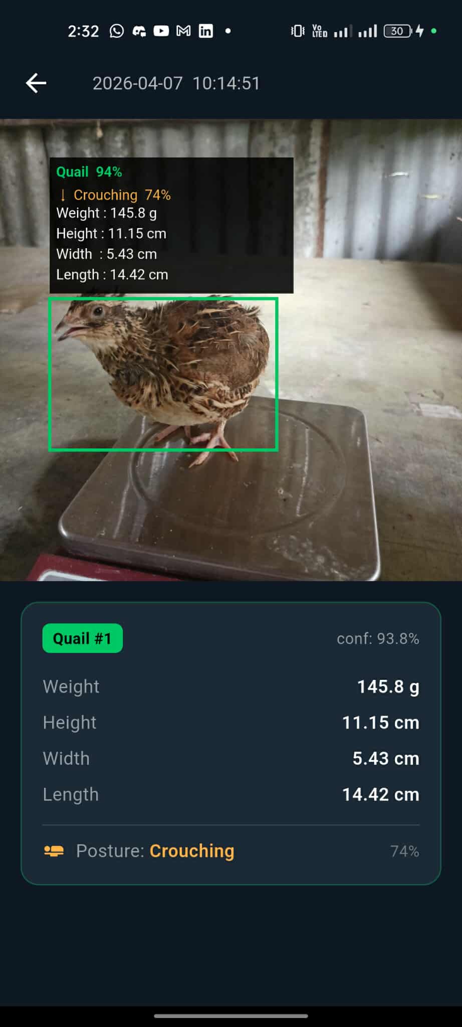 QuailVision prediction results