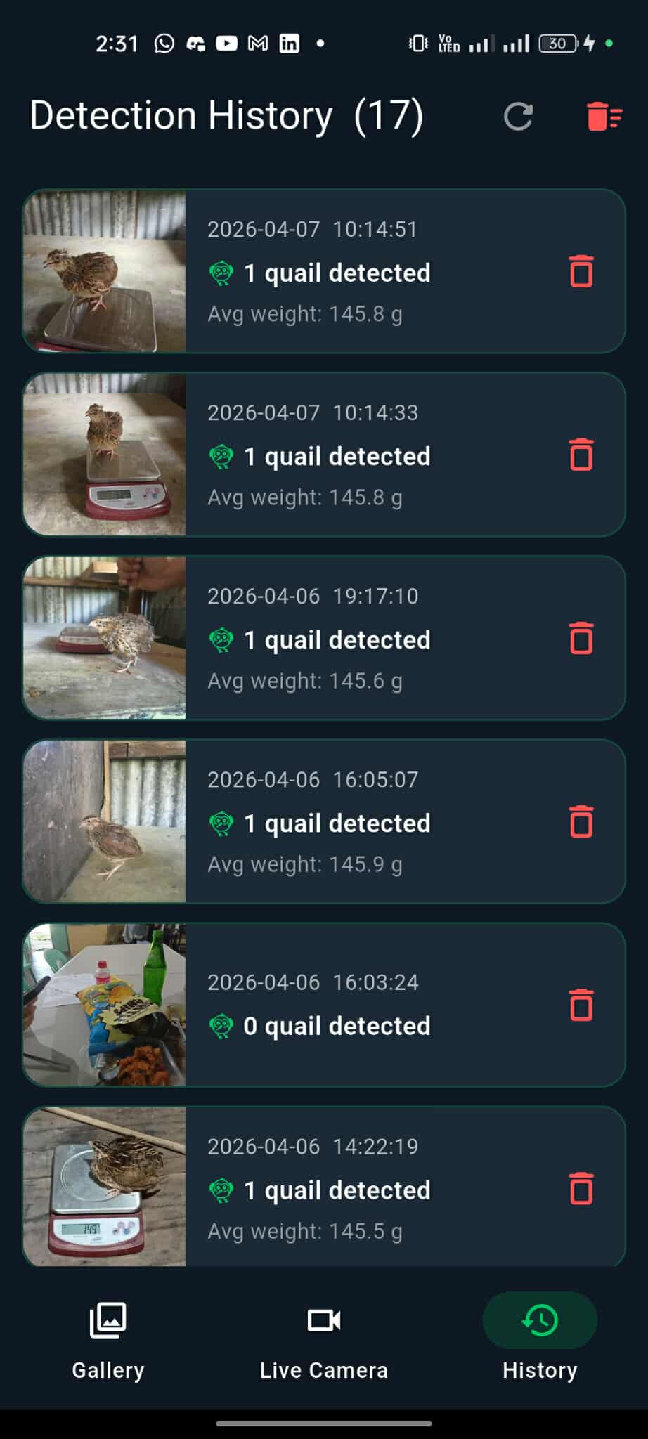 QuailVision flock monitoring dashboard