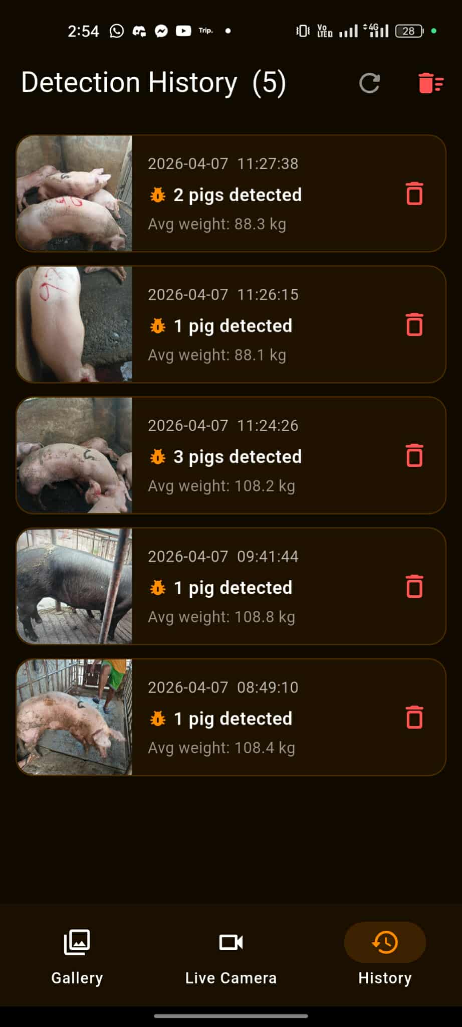 Swine weight estimation — history and records dashboard